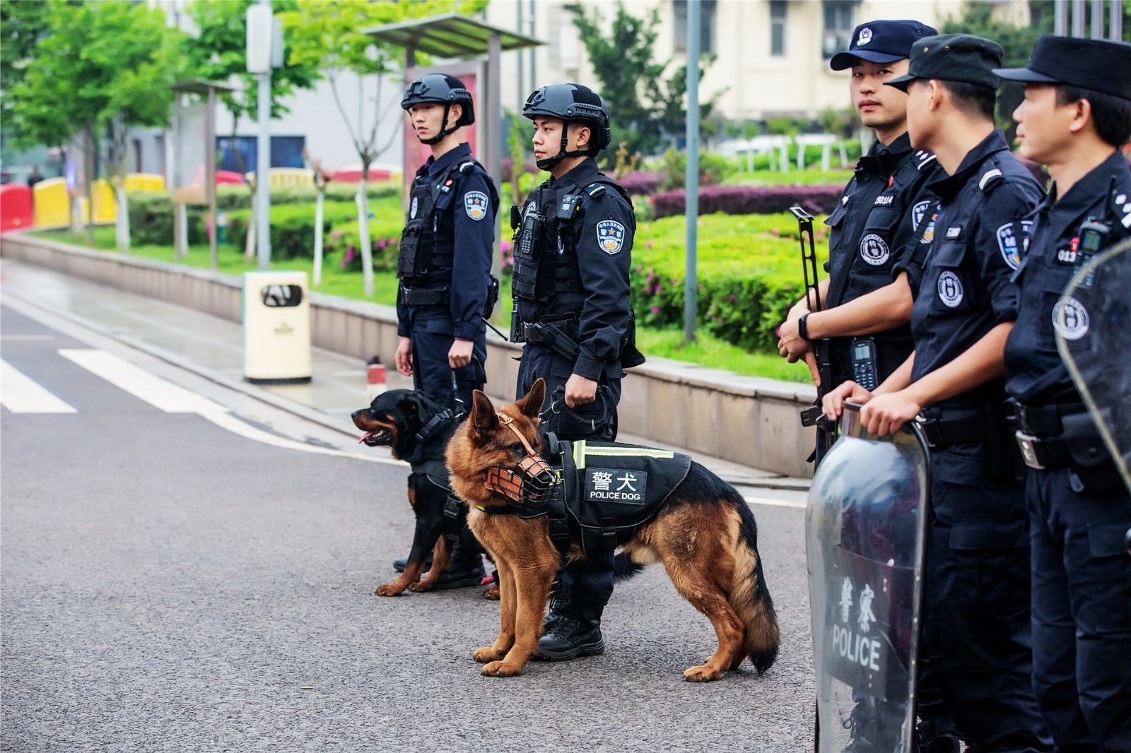 好博（中国）体育官方网站-HAOBO SPORTS
